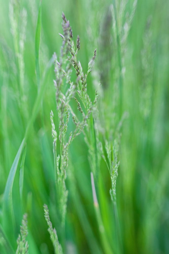 Photograph by Юлия Шаля