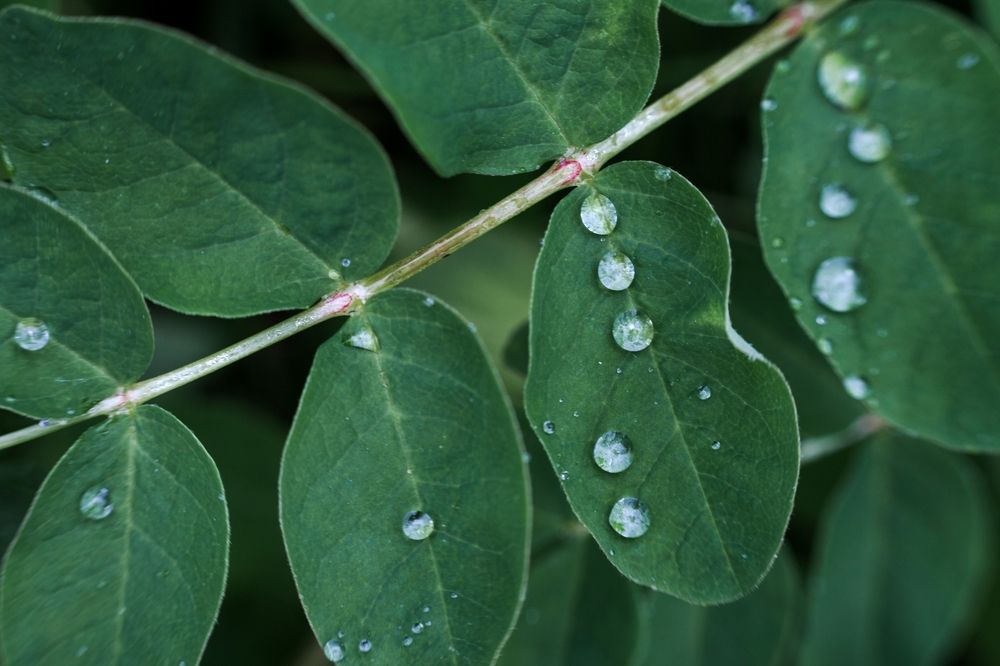 Photograph by Юлия Шаля