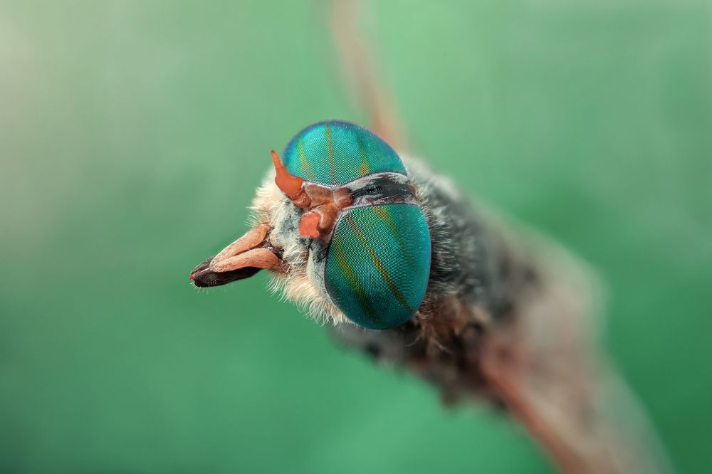 Photograph by Сергей Романченко