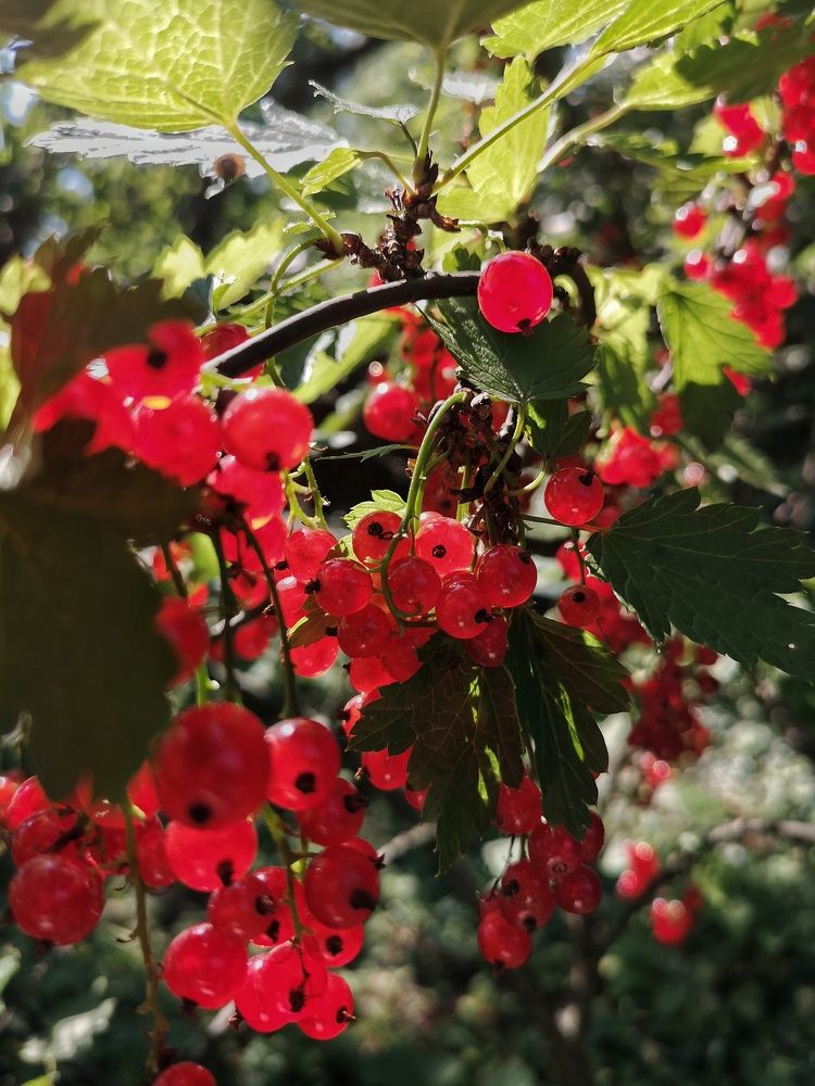 Photograph by Frolova Nataliya