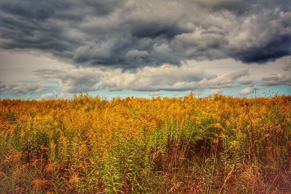 Photograph by Наталья Светлова