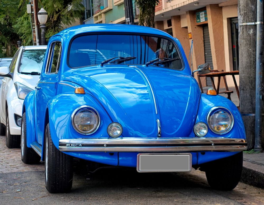 Photograph by Marcelo Luzzi