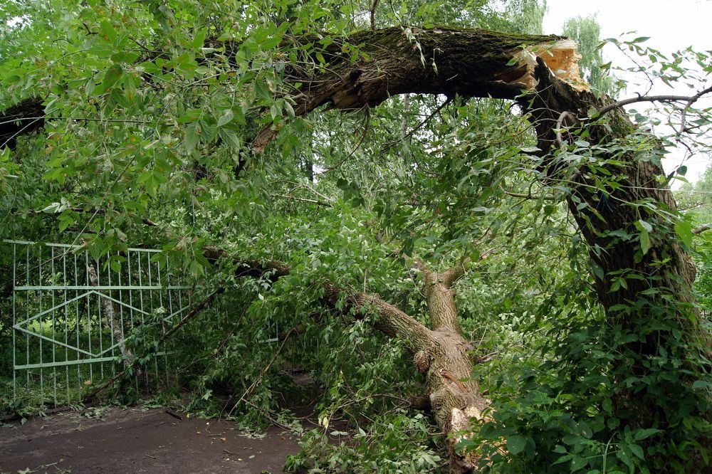 После урагана