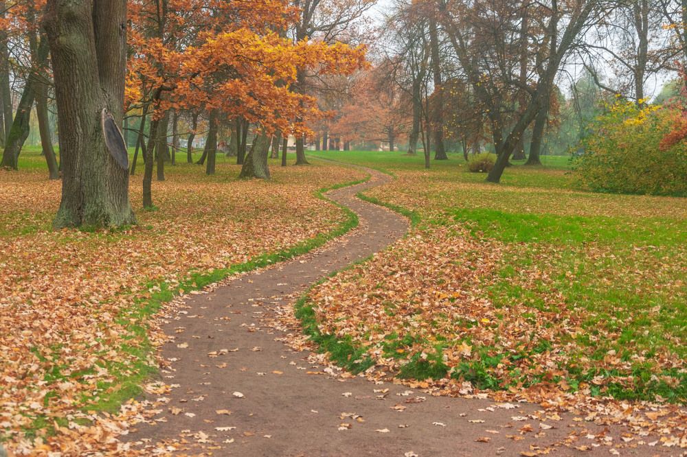 Photograph by Лилия Кондратьева