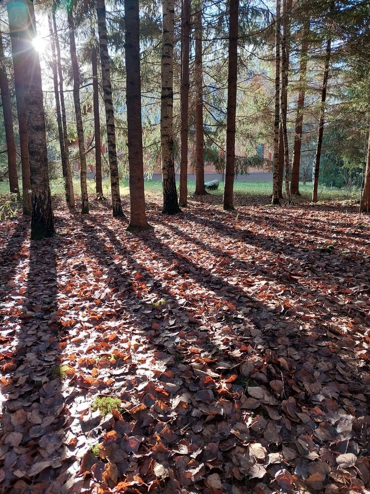 Photograph by Елена Тимченко