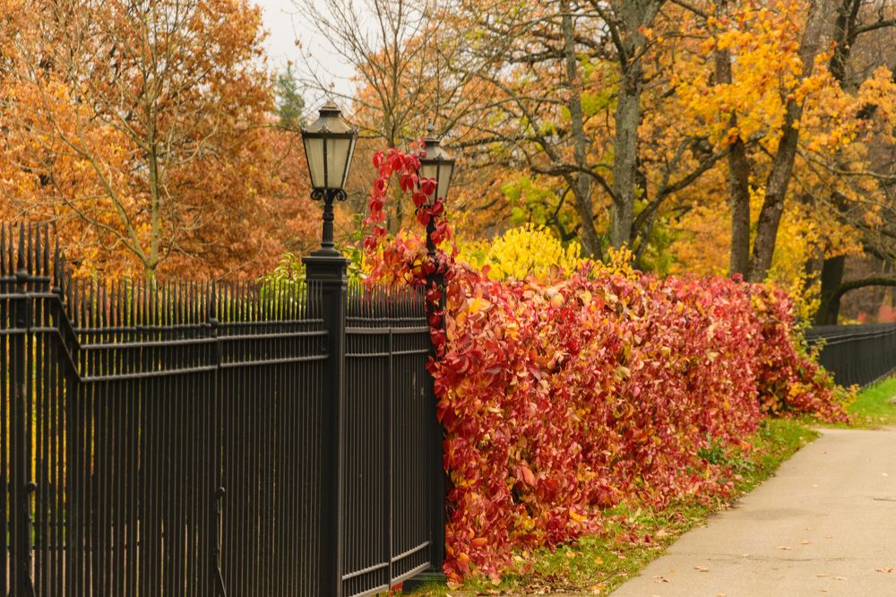 Photograph by Лилия Кондратьева