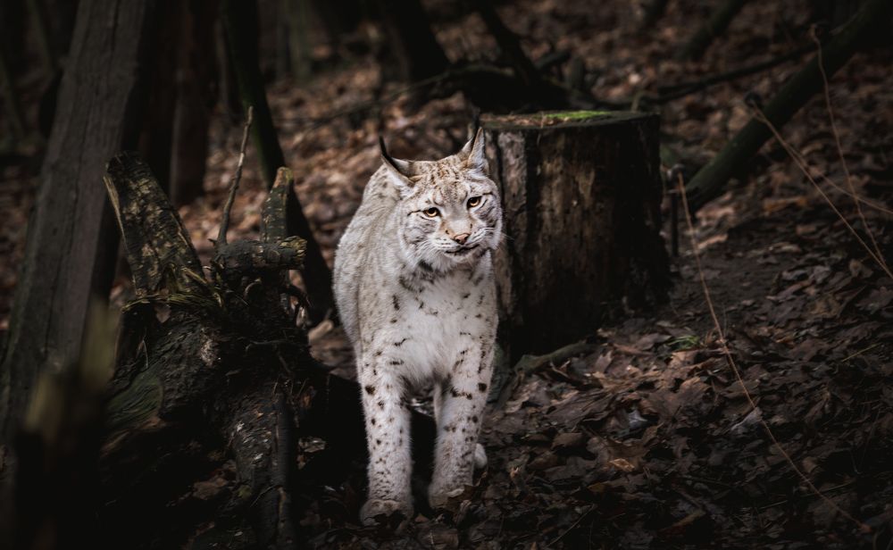 Photograph by Margarita Zakaryan