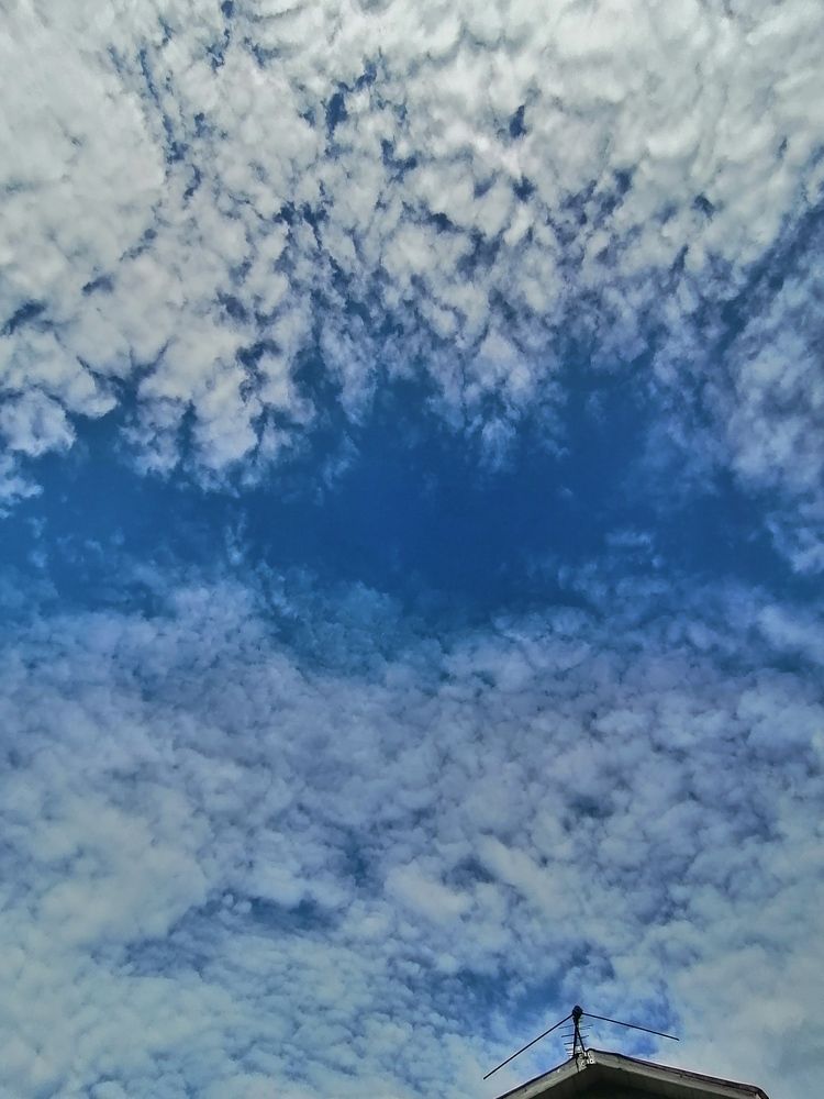 Photograph by Ирина Кортюкова