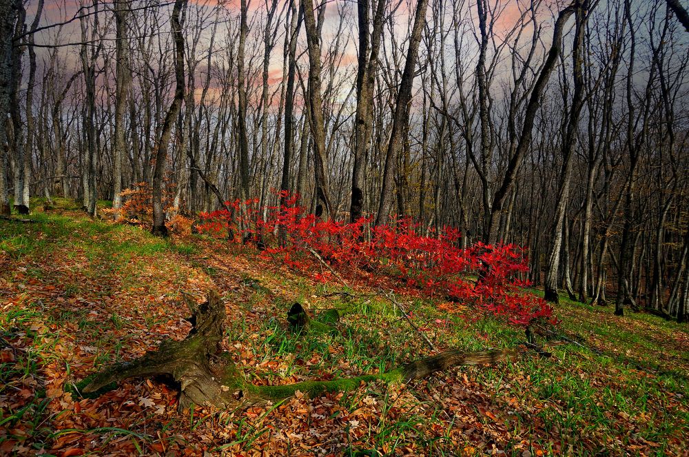 Photograph by Вадим Юрьевич