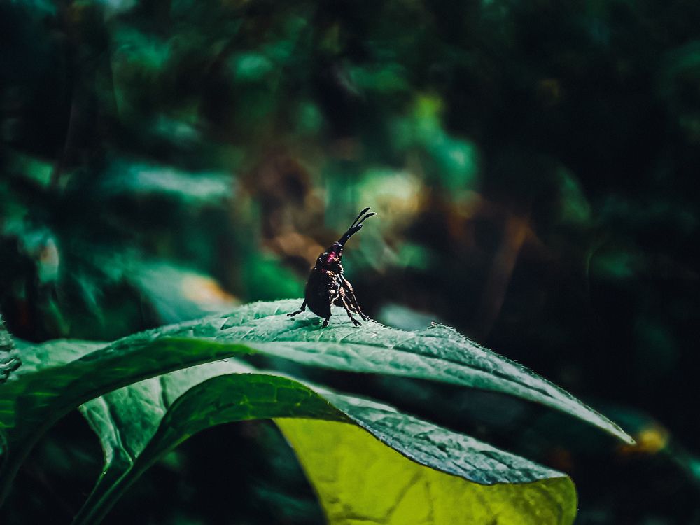 Photograph by Рафаэль Грузнов