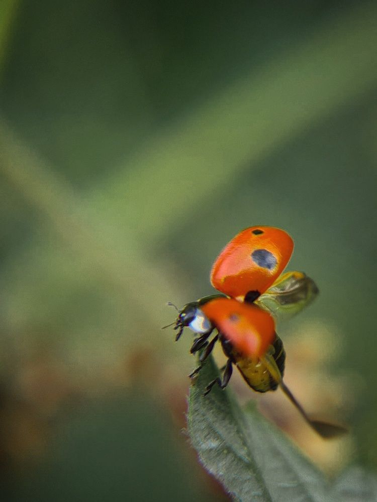 Photograph by Татьяна Соколовская