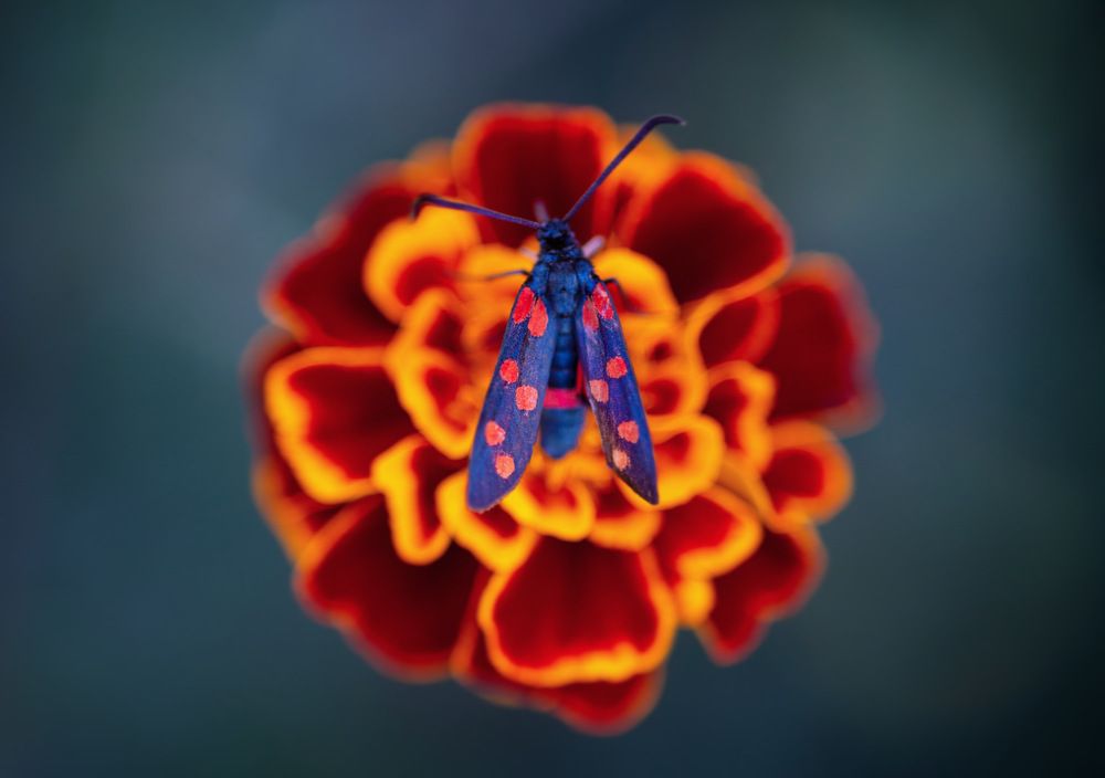 Photograph by mehdi mohebi pour