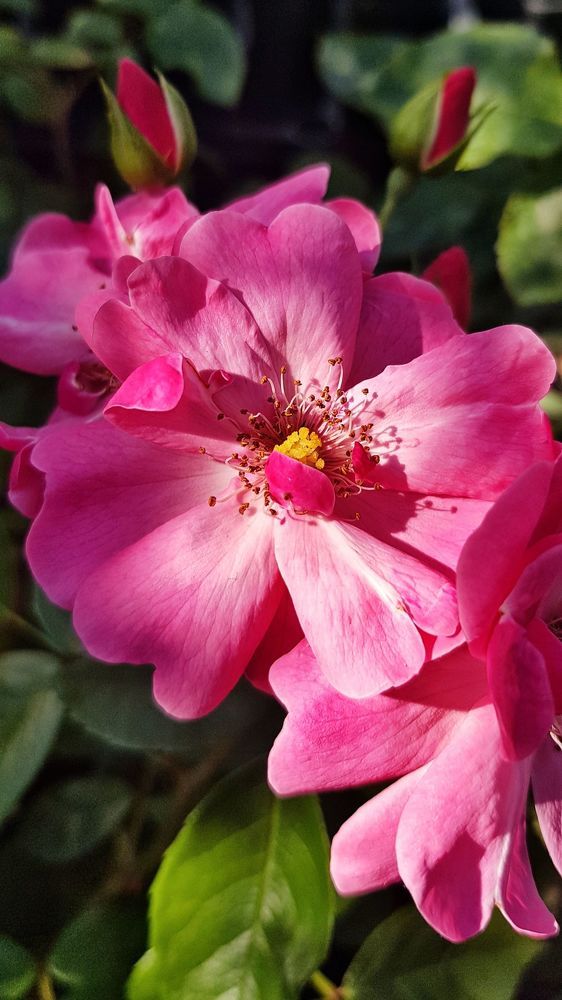 Photograph by Ольга