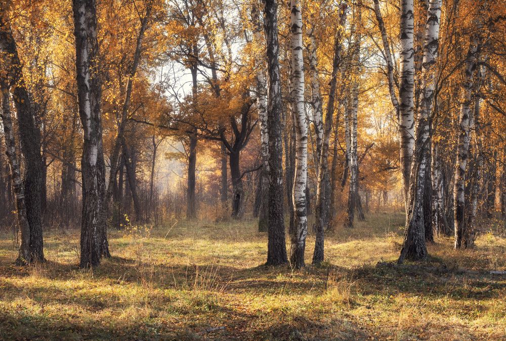 Photograph by Мозжухин Максим