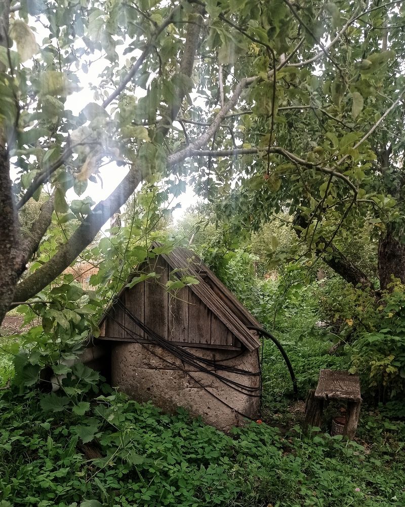 Photograph by Ольга Третьякова