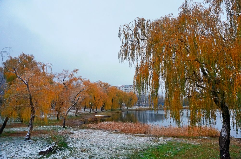 Photograph by Вадим Юрьевич