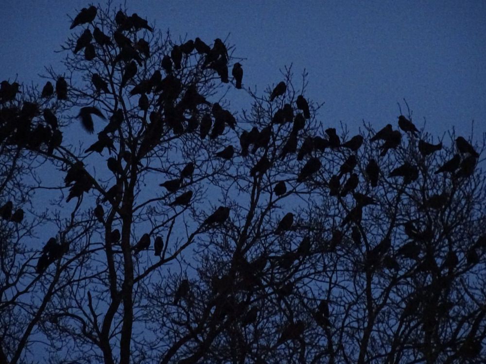 Photograph by Sona Sahakian