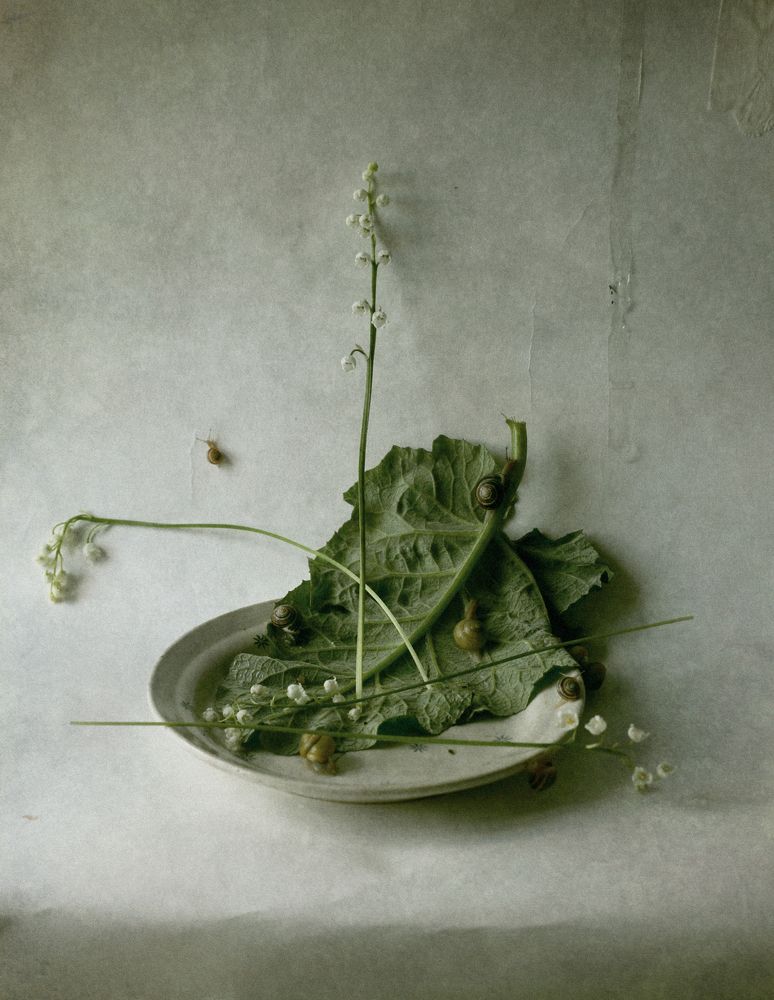 Photograph by Мария Сапего