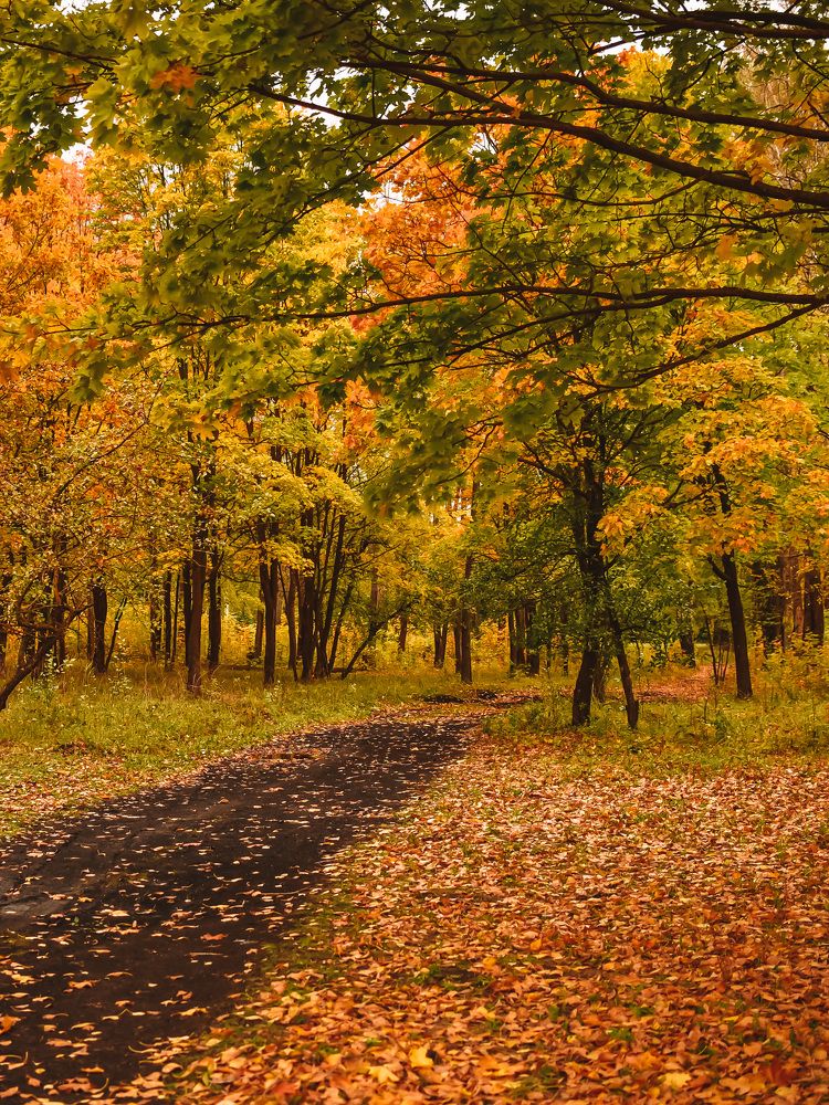 Photograph by Елена Сиушова