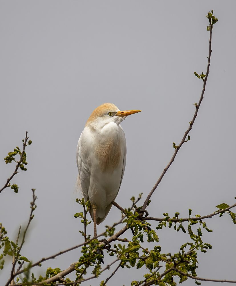 Photograph by mehmet kilicoglu