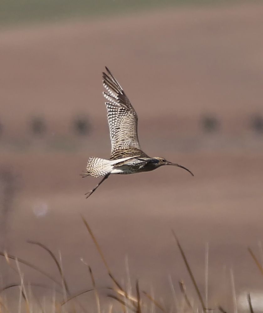 Photograph by mehmet kilicoglu