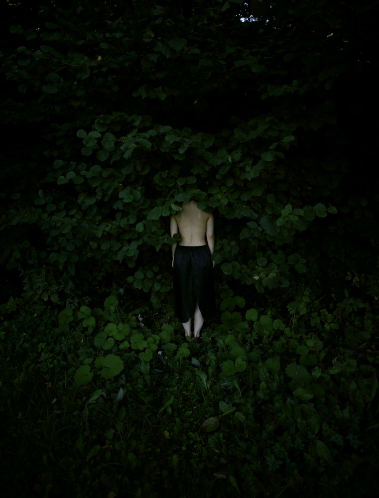 Photograph by Мария Сапего