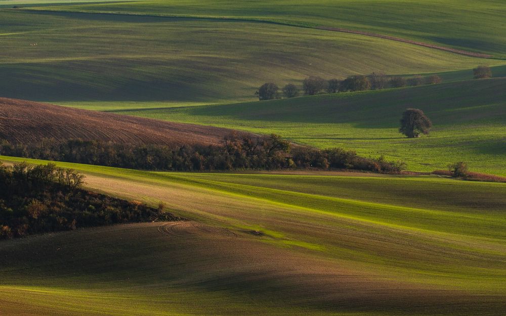 Photograph by Геннадий