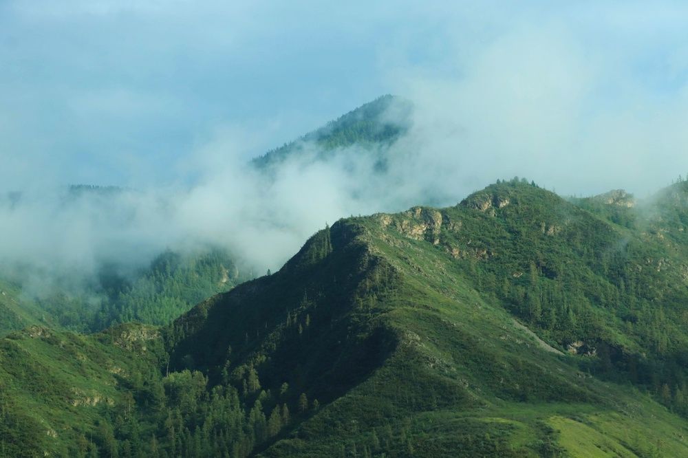 Photograph by Татьяна Кужлекова