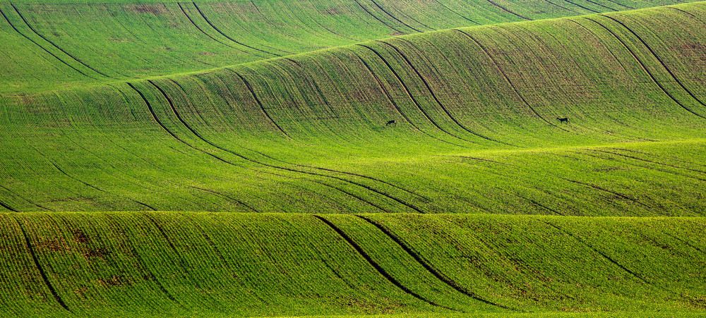 Photograph by Геннадий