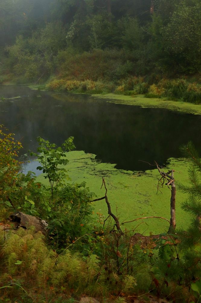 Photograph by Дарья