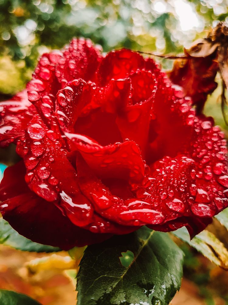 Photograph by Денис Нарышев