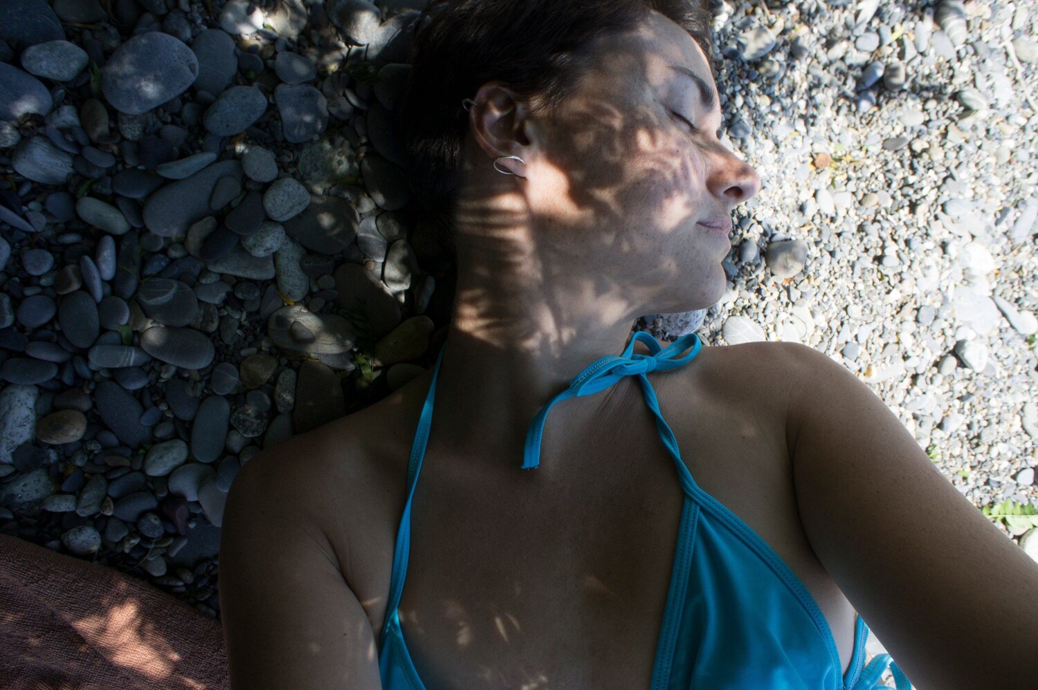 Photo #8052889