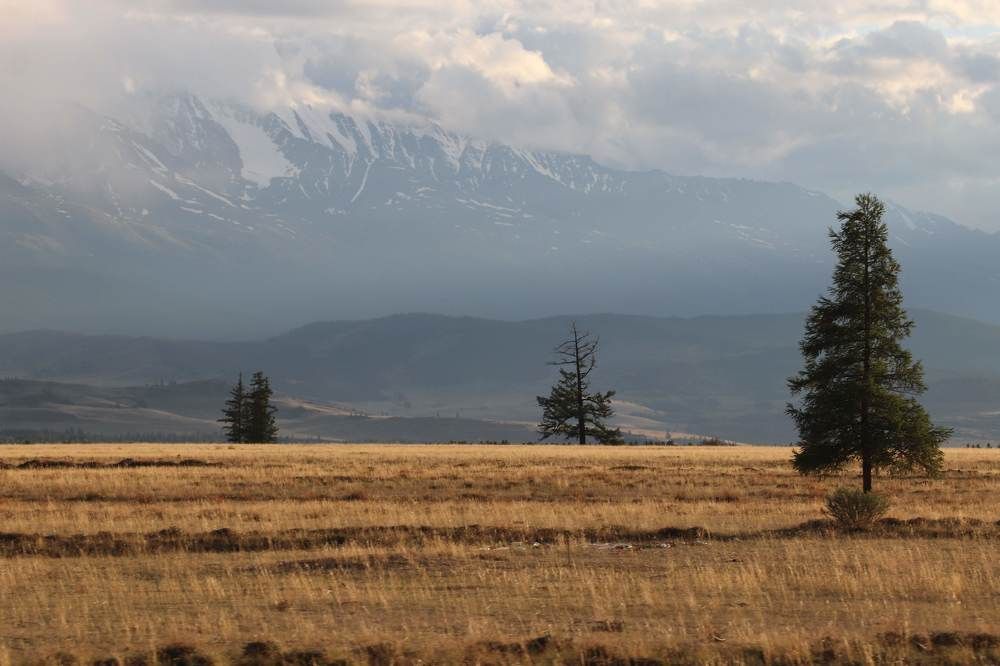 Photograph by Татьяна Кужлекова