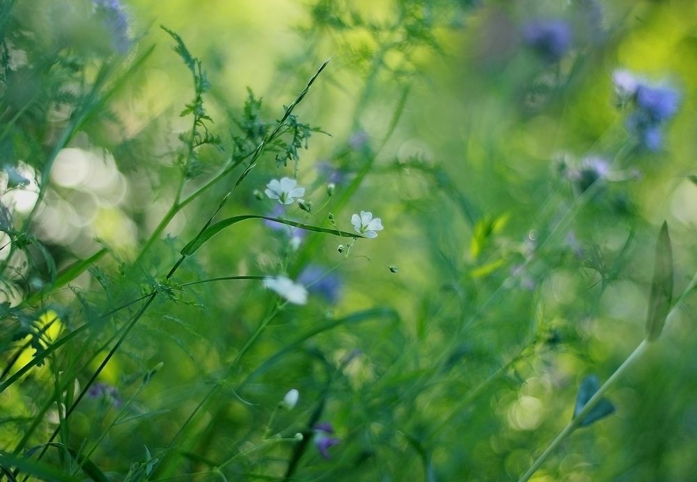 Photograph by Лайко Марина