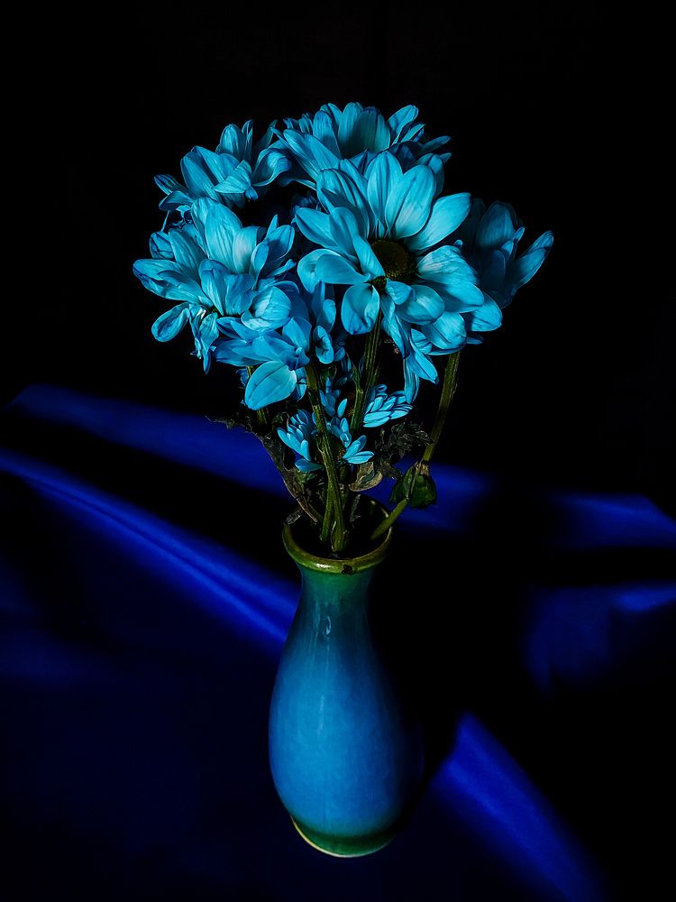 Photograph by Екатерина Савенкова