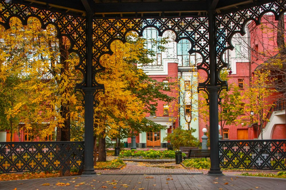 Photograph by Елена Шахова