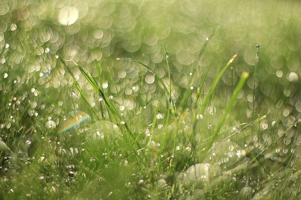 Photograph by Лайко Марина