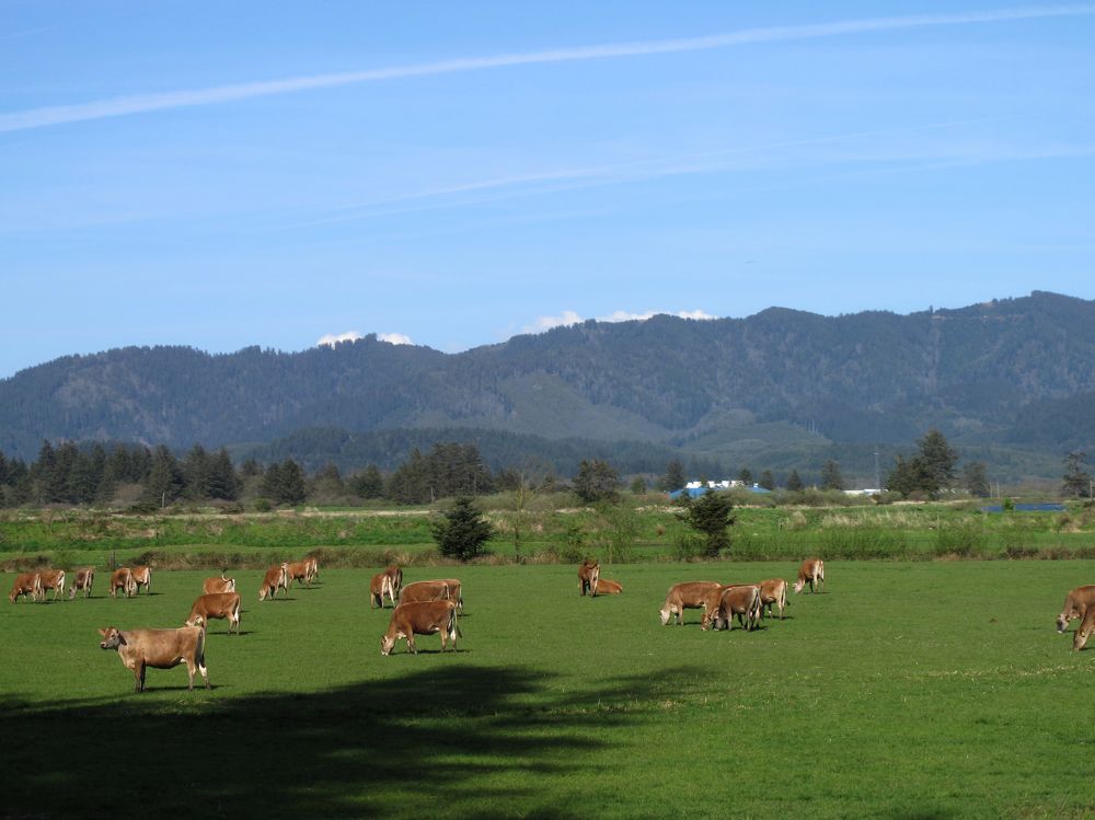 Photograph by Дарья