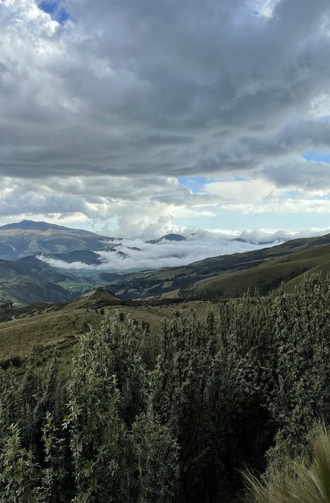 Photograph by Дарья