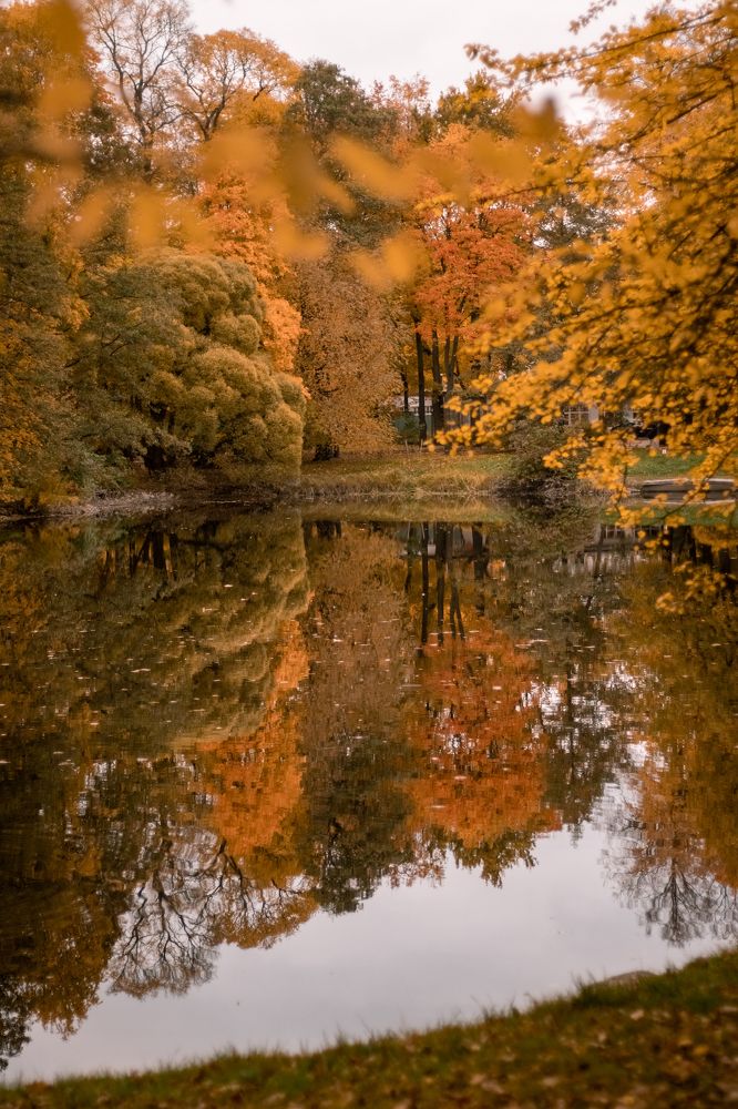 Photograph by Татьяна Стружкина