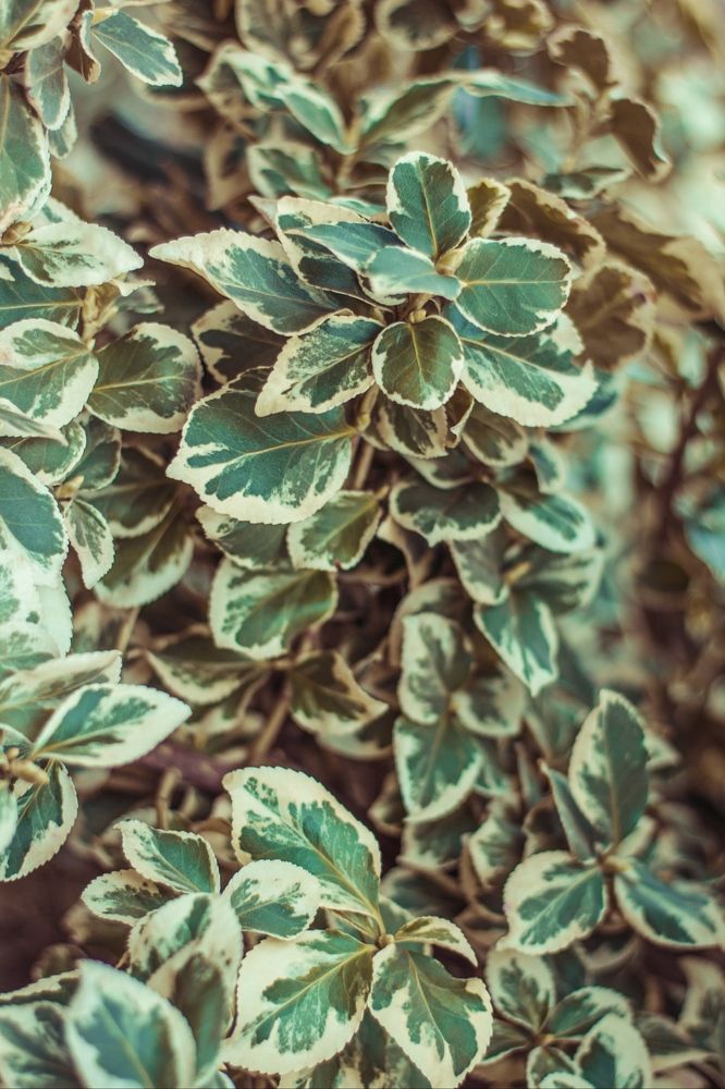 Photograph by Марина Ярмак