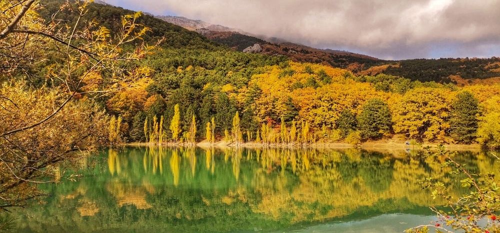 Photograph by Ирина Садовникова