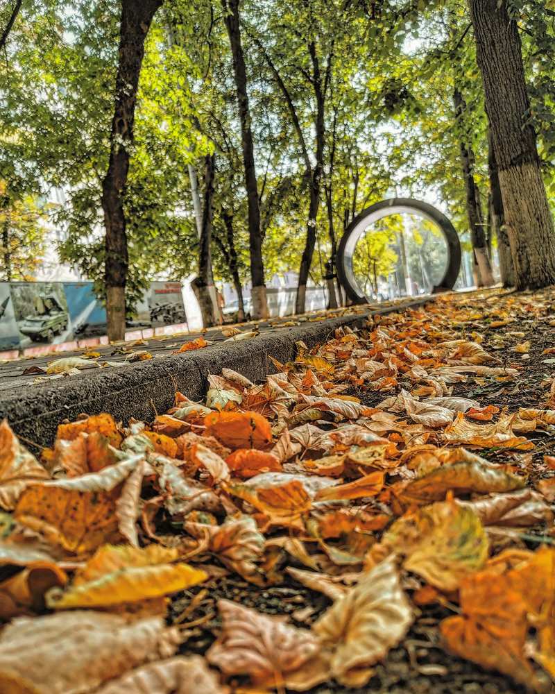 Photograph by Виталий Полозов