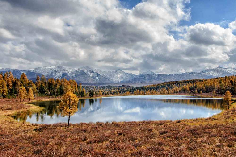 Осенние краски Киделю.