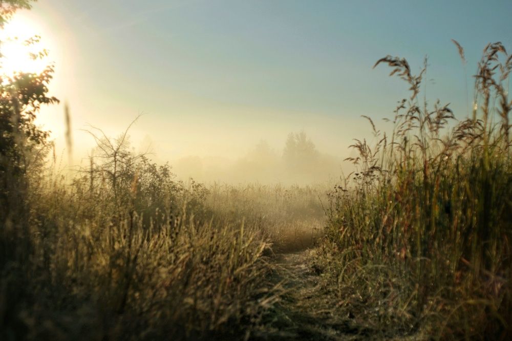 Photograph by Инна Карасева