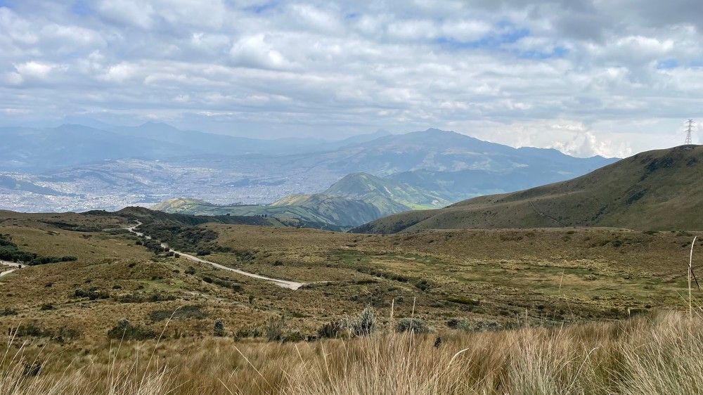 Photograph by Дарья