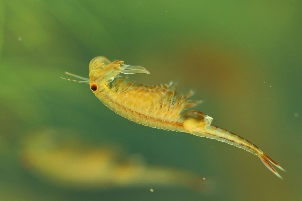 Photograph by Прокопов Григорий