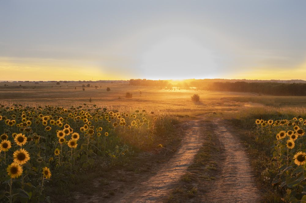 Photograph by Ольга Чернова