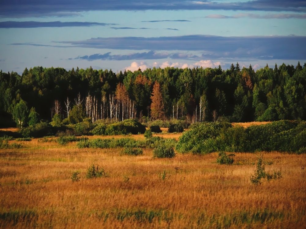 Photograph by Маргарита Смоленская