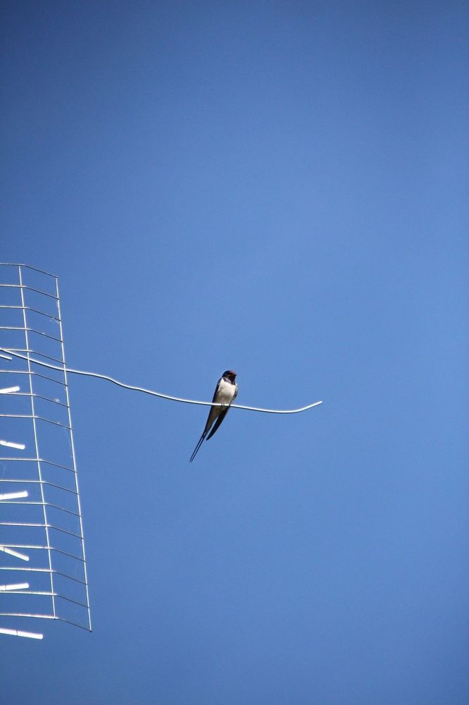 Photograph by Юлия Журавлёва